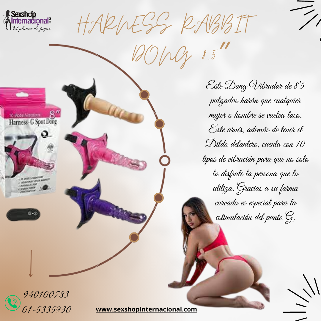 HARNESS RABBIT DONG 8.5